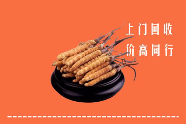 高价求购：浉河区回收散虫草