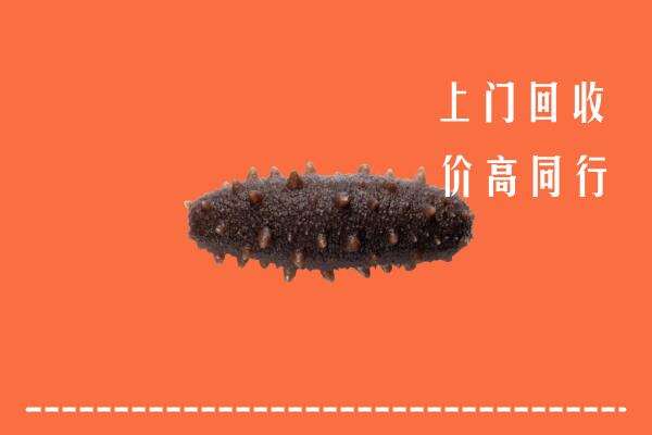 浉河区回收海参