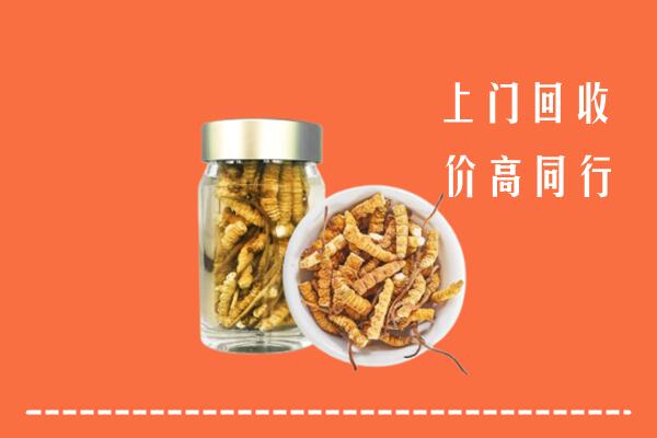 浉河区回收冬虫夏草