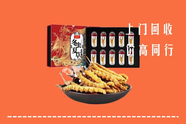 浉河区回收虫草